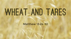wheat and tares with scripture