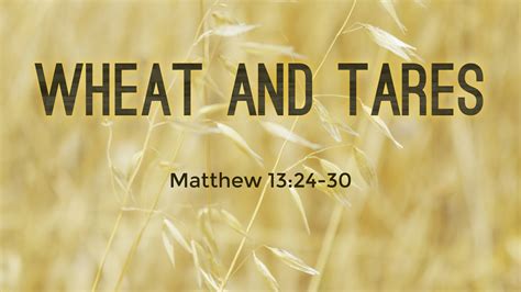 wheat and tares with scripture