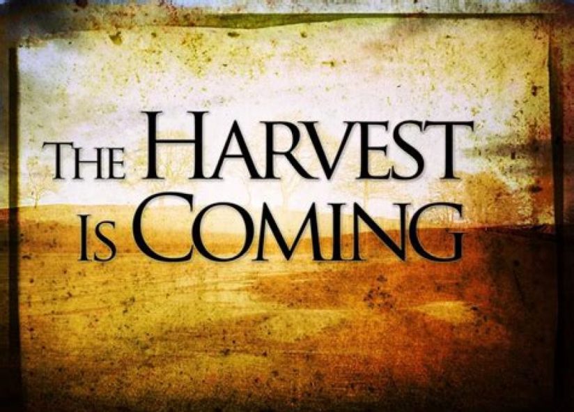 cropped-harvest-is-coming.jpg