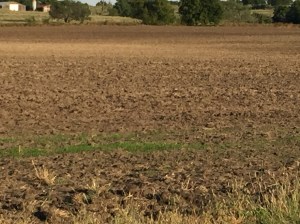 Feilds and other 10-01-16 180