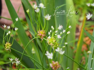 6841cf28-dd6b-44e9-8eb9-c01c184154a0