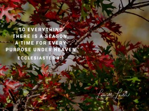 105654bd-ece3-427c-a336-806b86b0d69c