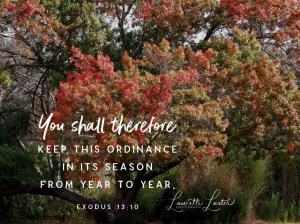 biblelens_2019_10_08_12_28_20_1370