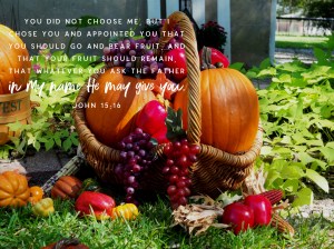 biblelens_2019_10_08_15_55_59_6320