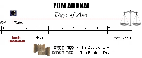 Days of Awe with scales