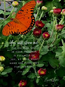 e66ca16a-453d-4dd5-a1b6-9d05aa0870e8