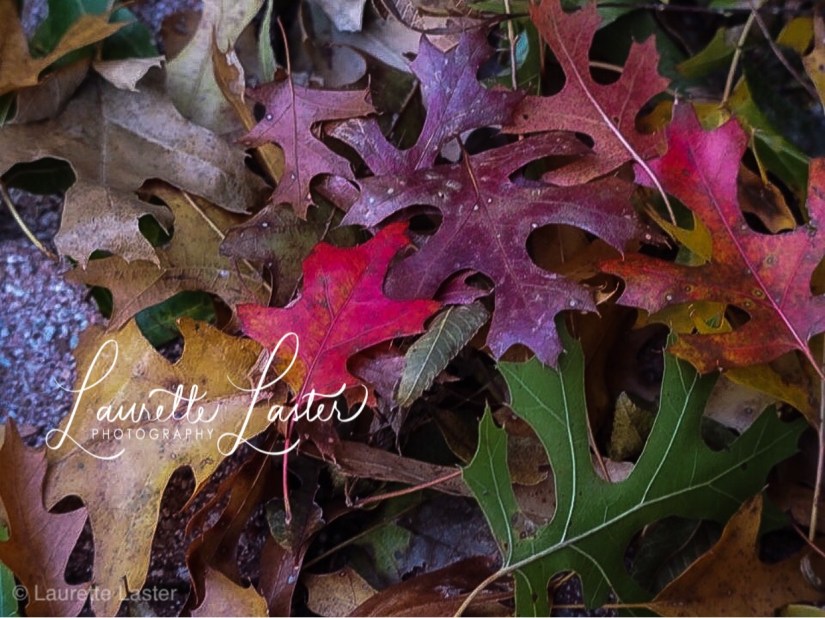 e6d2be20-d356-4fd8-9ea2-e906c2c1e6ec