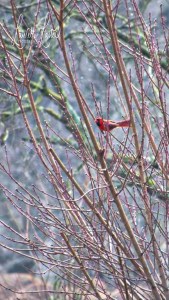 4094a10c-4da8-4b6d-94e4-9eff1682e8d6