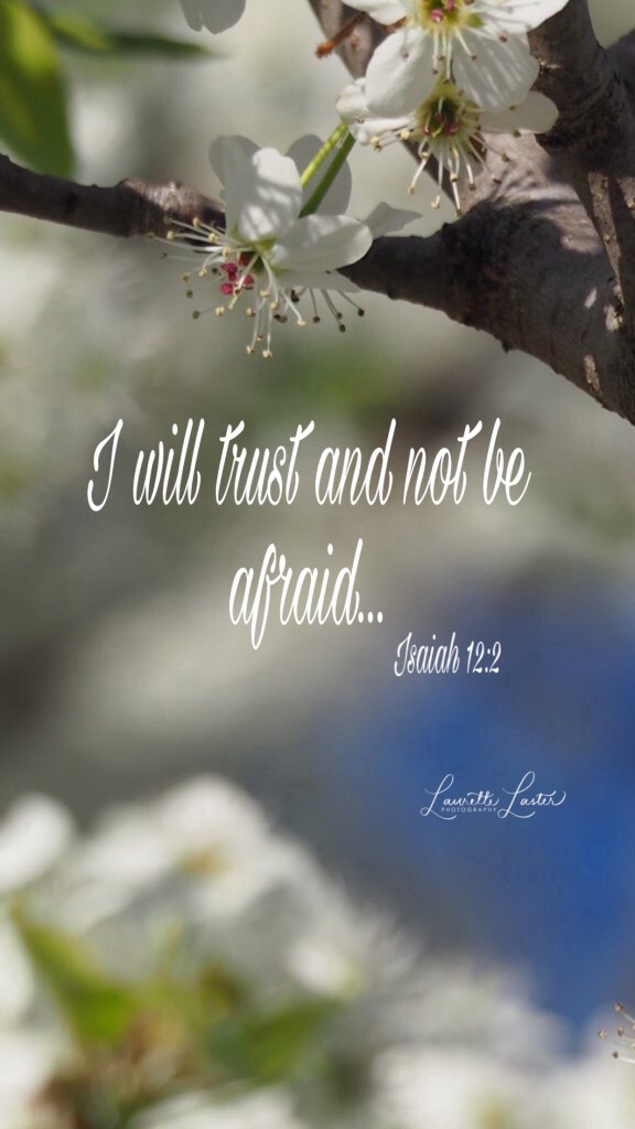 119059f2-3b71-4d0d-a581-873997898029