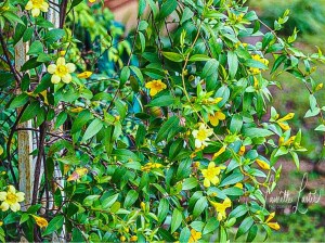 230dd5d1-0a4d-441f-8951-39d72063c132