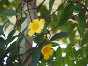 e9cbaf7f-ee5c-4e03-be50-f7eb9fa8eeb6