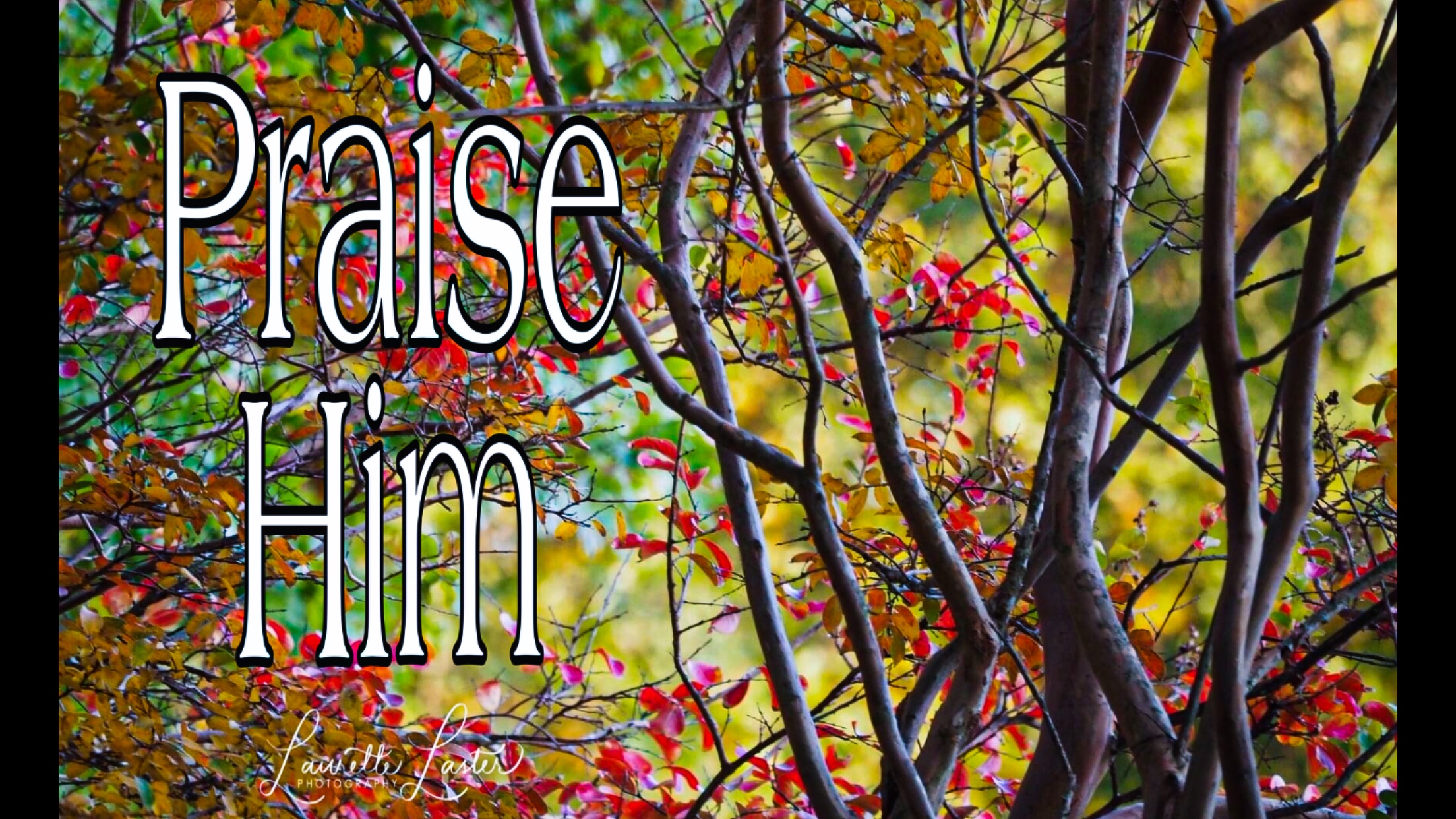 If Prayer is a Praise – Through All Seasons